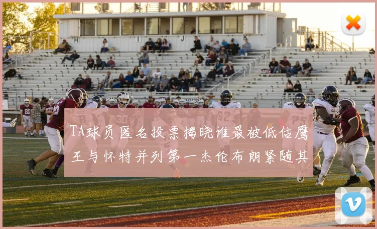 TA球员匿名投票揭晓谁最被低估鹰王与怀特并列第一杰伦布朗紧随其后