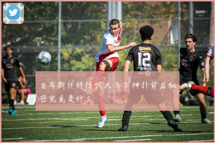 吉布斯怀特惊叹大马丁神扑背后秘密究竟是什么