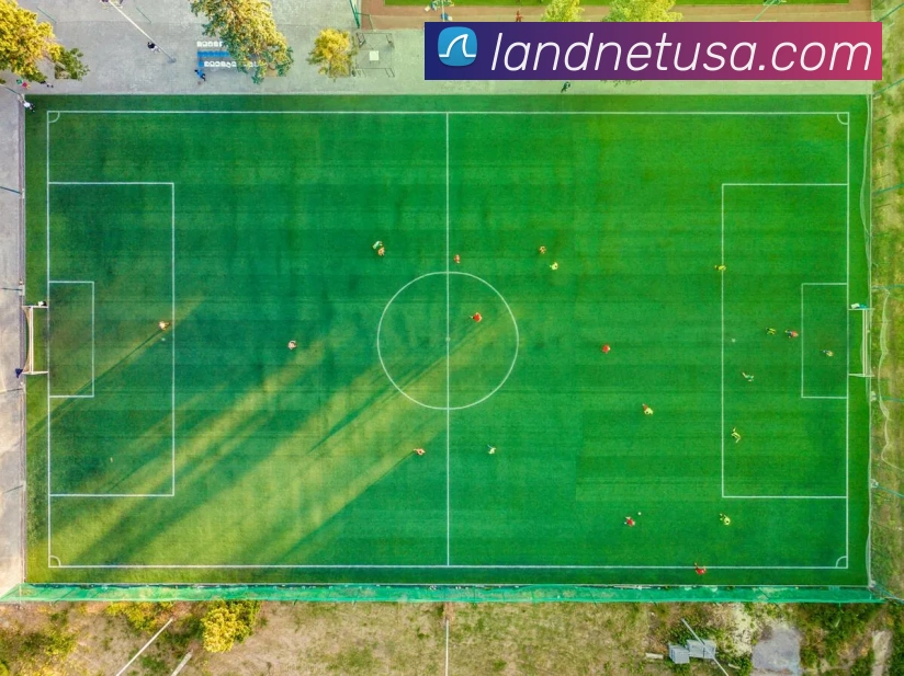 体育直播服务